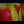 Unique colorful modern large picture in frame for living room 